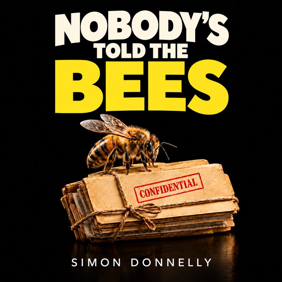 Nobody's Told the Bees by Simon Donnelly, book cover